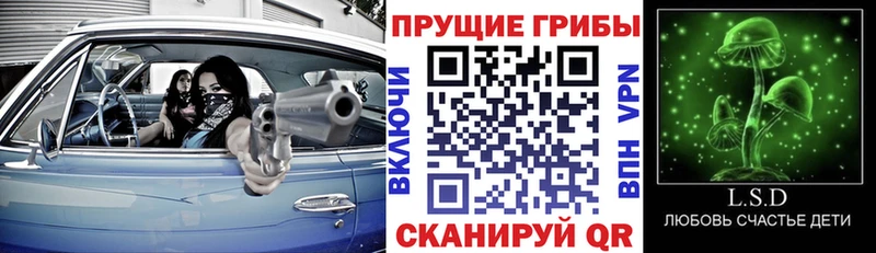 площадка телеграм  купить  сайты  Старый Оскол  Галлюциногенные грибы GOLDEN TEACHER 